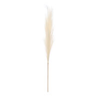 Haste pampas artificial branco 110cm