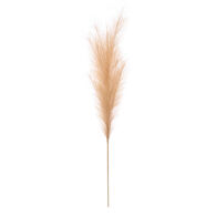 Haste pampas artificial bege 110cm