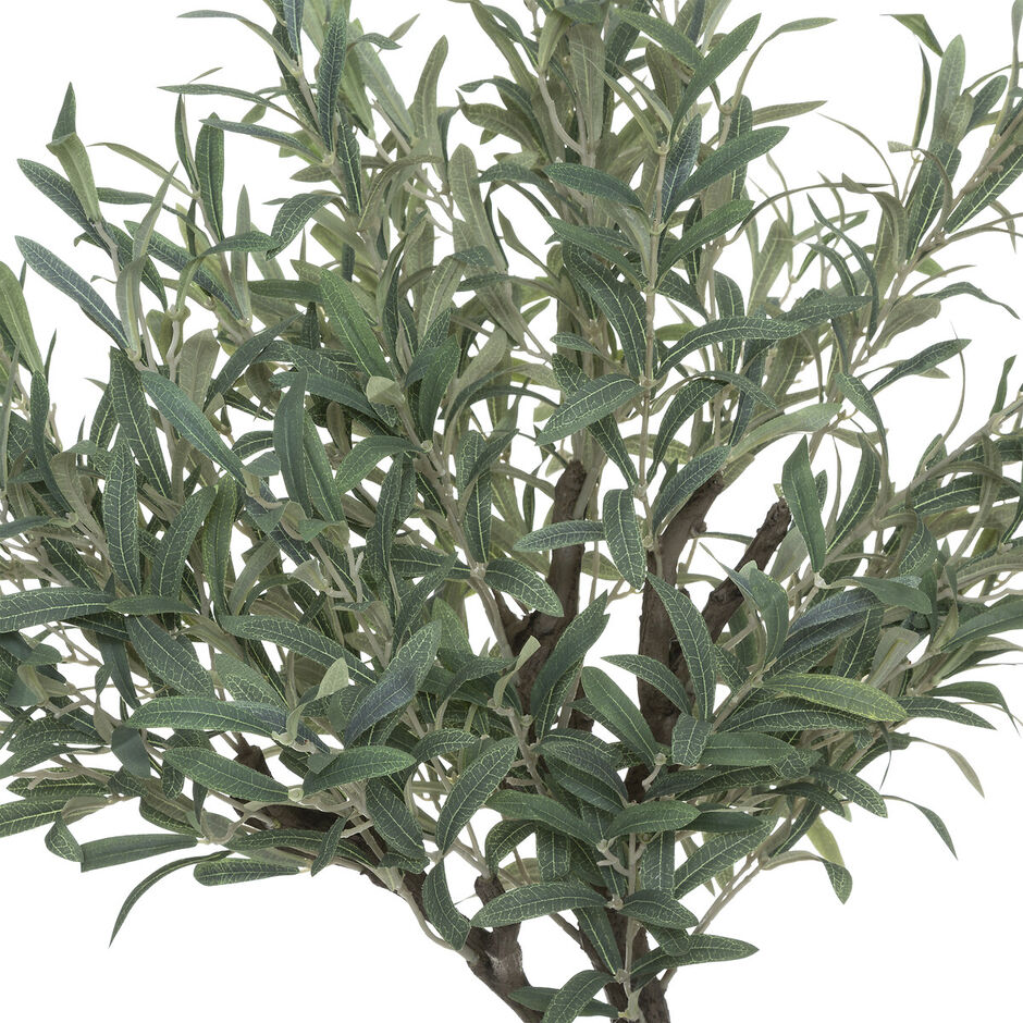 Planta Oliveira Com Vaso 140cm atmosphera hôma