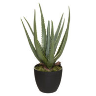 Planta cato aloe vera real TOUCH 44cm