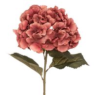 Haste hort&ecirc;nsia ameixa romande gypsy