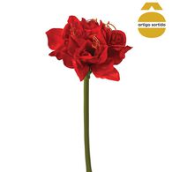Haste amaryllis 71cm