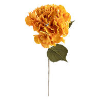 Haste hort&ecirc;nsia &acirc;mbar 83cm