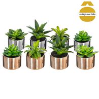 Vaso de cer&acirc;mica com planta 13,5cm