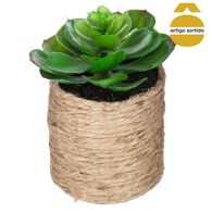 Vaso de corda com planta 15cm