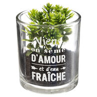 Vaso de vidro com planta 9,5x7cm