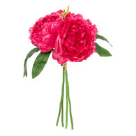 Bouquet de 4 peonias BLUSH 30cm