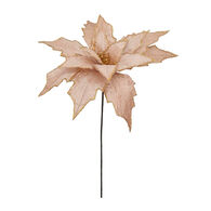 Haste poinsétia champanhe 50cm