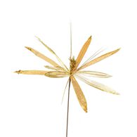 Haste Flor Natal&iacute;cia Dourada 56cm