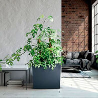 Vaseira URBI CASE T Cinzento