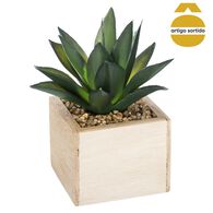 Vaso de madeira com planta 15cm