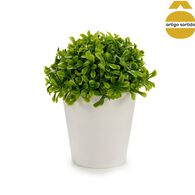 Vaso com folhas curtas 13cm