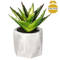 Vaso de cimento com planta 17cm