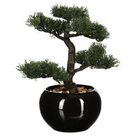 Planta bonsai artificial com vaso preto de cerâmica 36cm,  Planta bonsai artificial com vaso preto de cerâmica 36cm