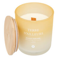 Vela perfumada terre d'ailleurs SANA 255g