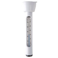 Term&oacute;metro de piscina Intex