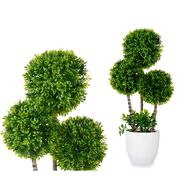 Vaso com planta de bola verde