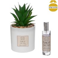 Coffret cato atificial com ambientador