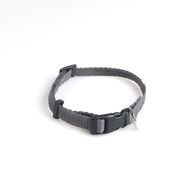 Coleira m EASY cinza,  Coleira m EASY cinza