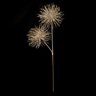 Haste dourada com 2 pompons 60cm