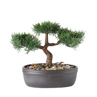 Vaso com bonsai artificial