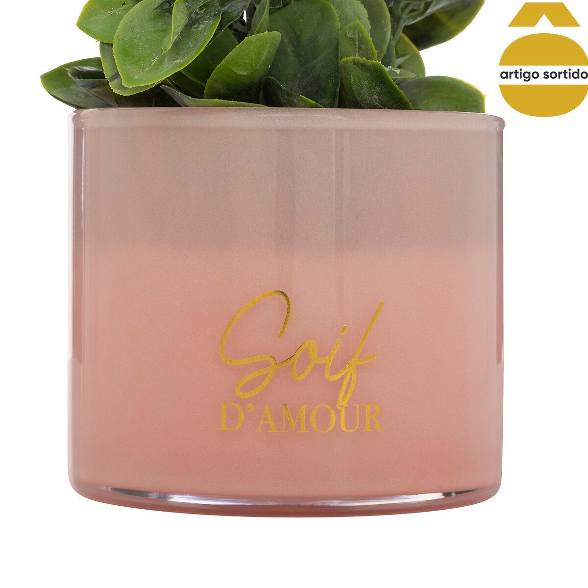 Planta suculenta TAYLI de vidro 18cm