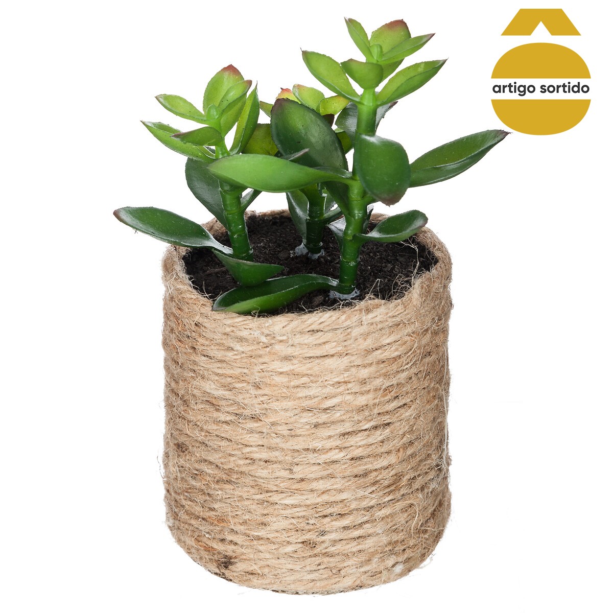 Vaso de corda com planta 15cm