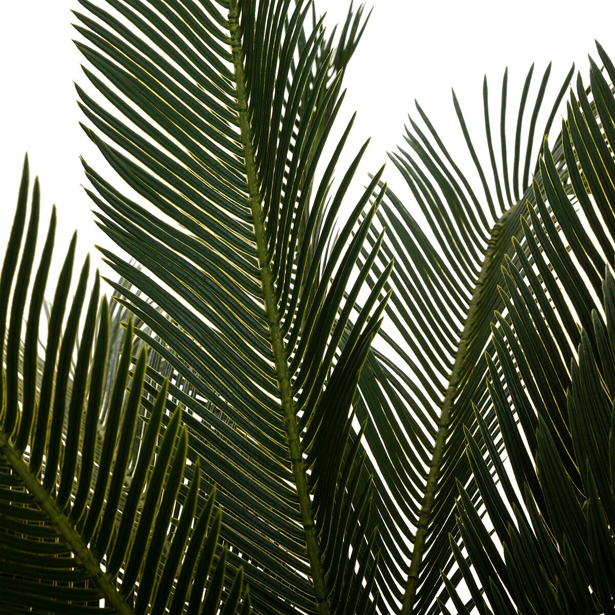 Palmeira ananas artificial com vaso