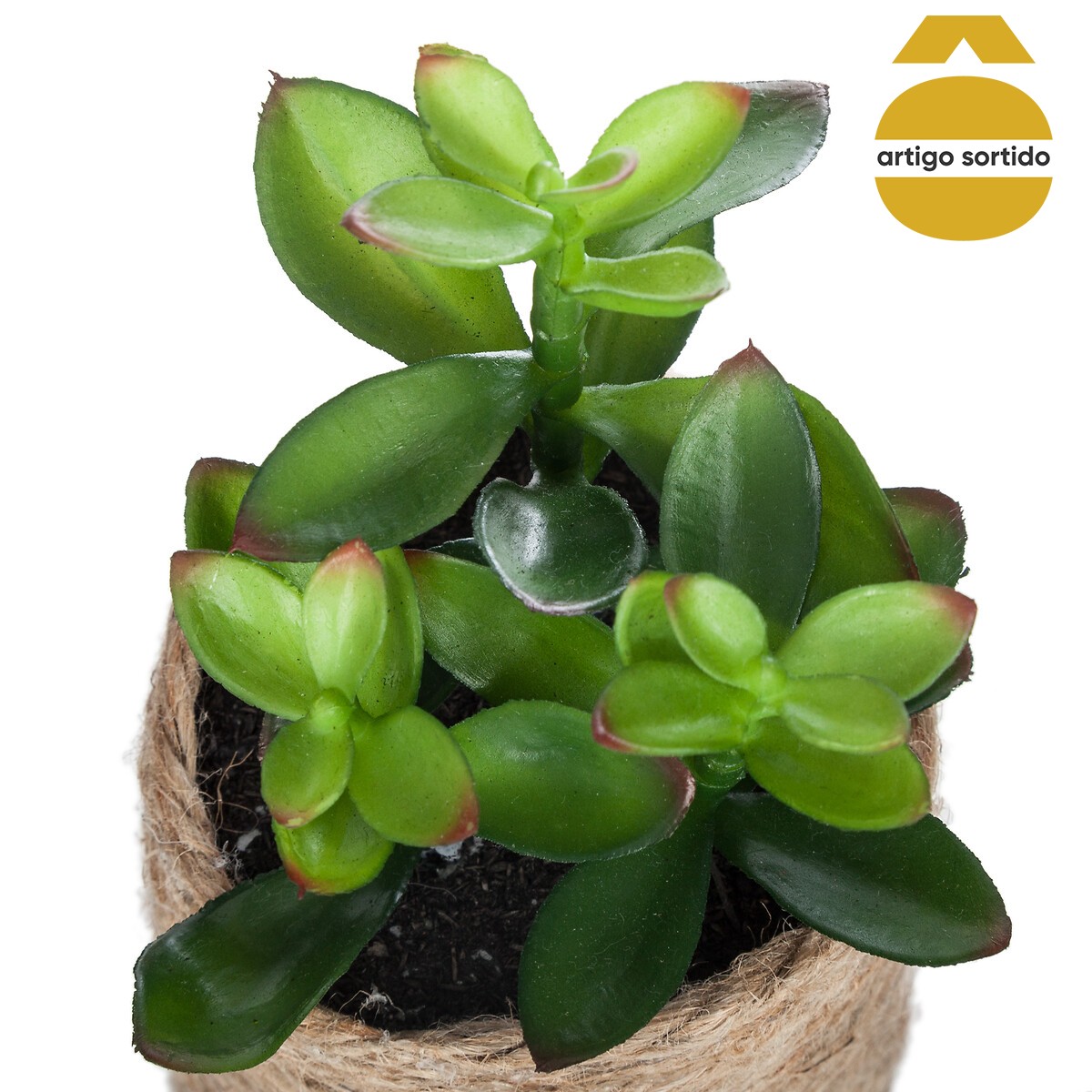 Vaso de corda com planta 15cm