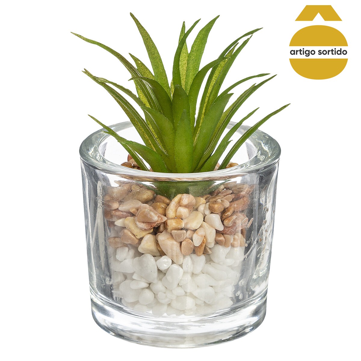Vaso de vidro com planta 10cm,  Vaso de vidro com planta 10cm