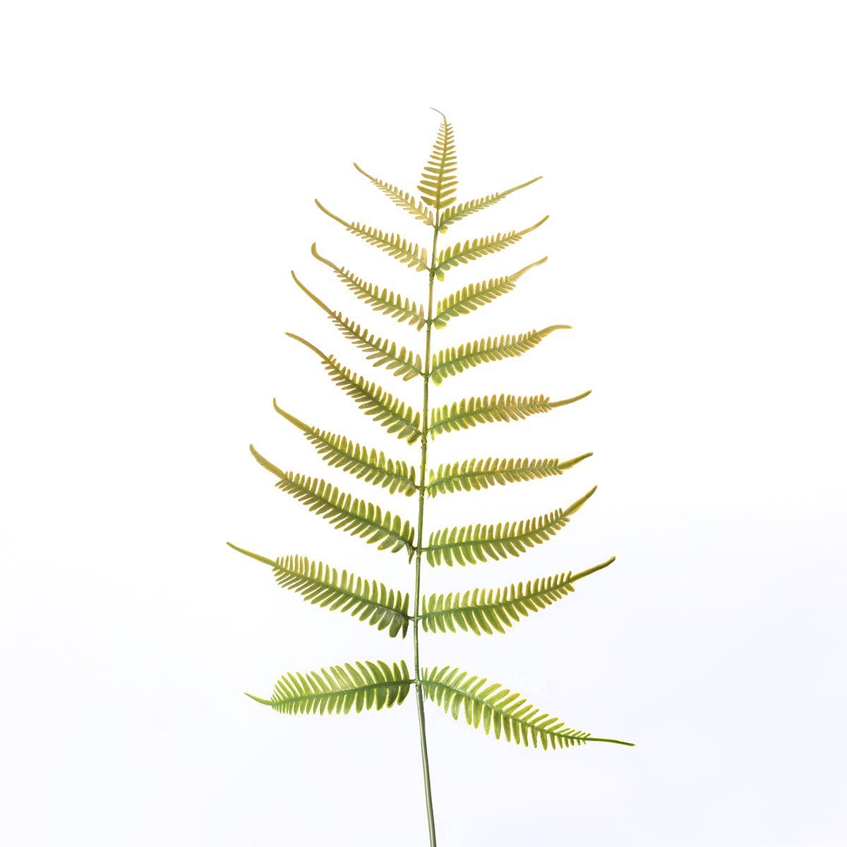 Haste de feto verde artificial 73cm,  Haste de feto verde artificial 73cm