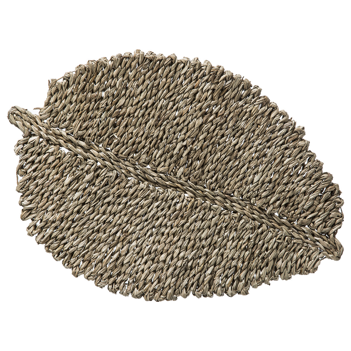 Individual FOLHA castanha em seagrass