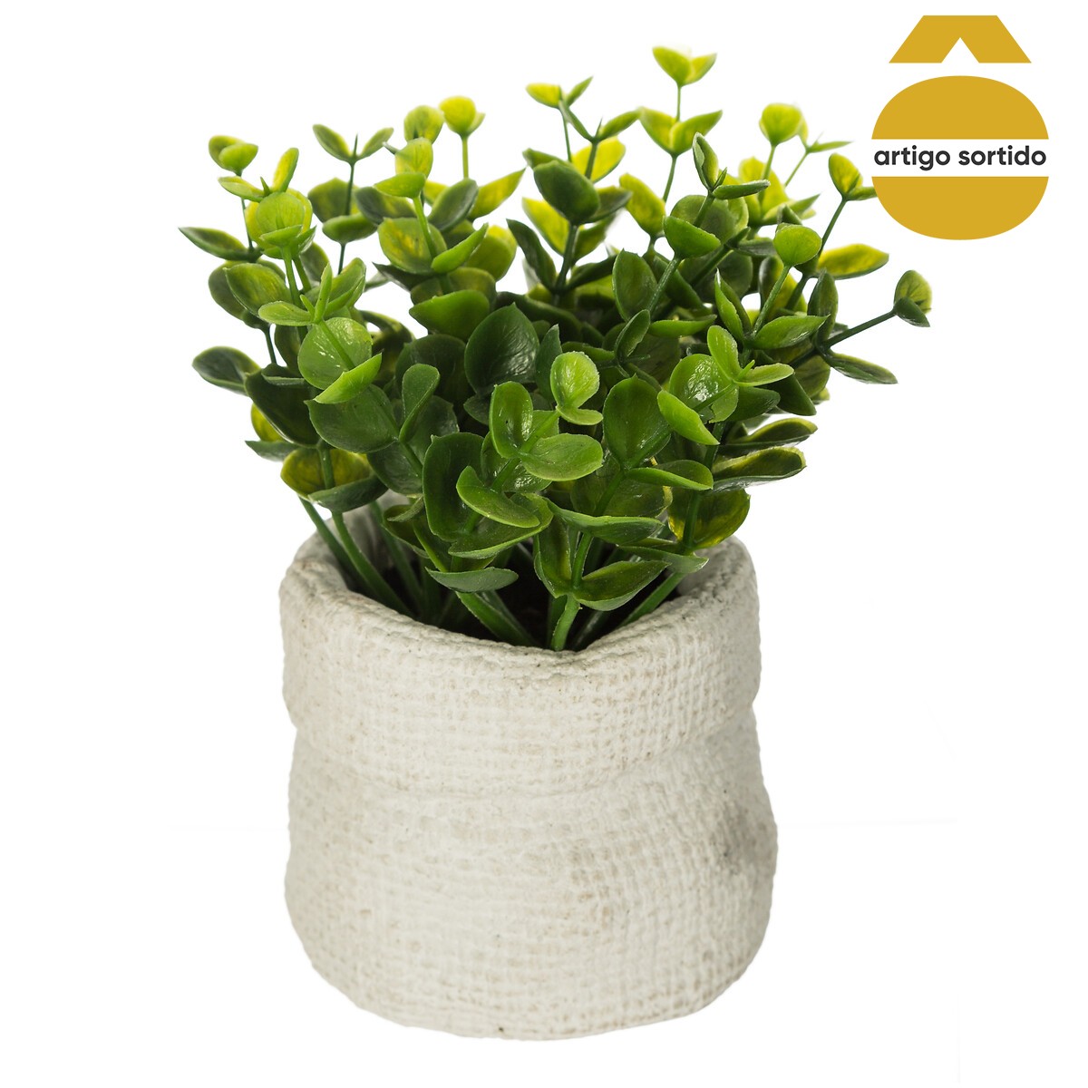 Vaso de cimento com planta 14cm