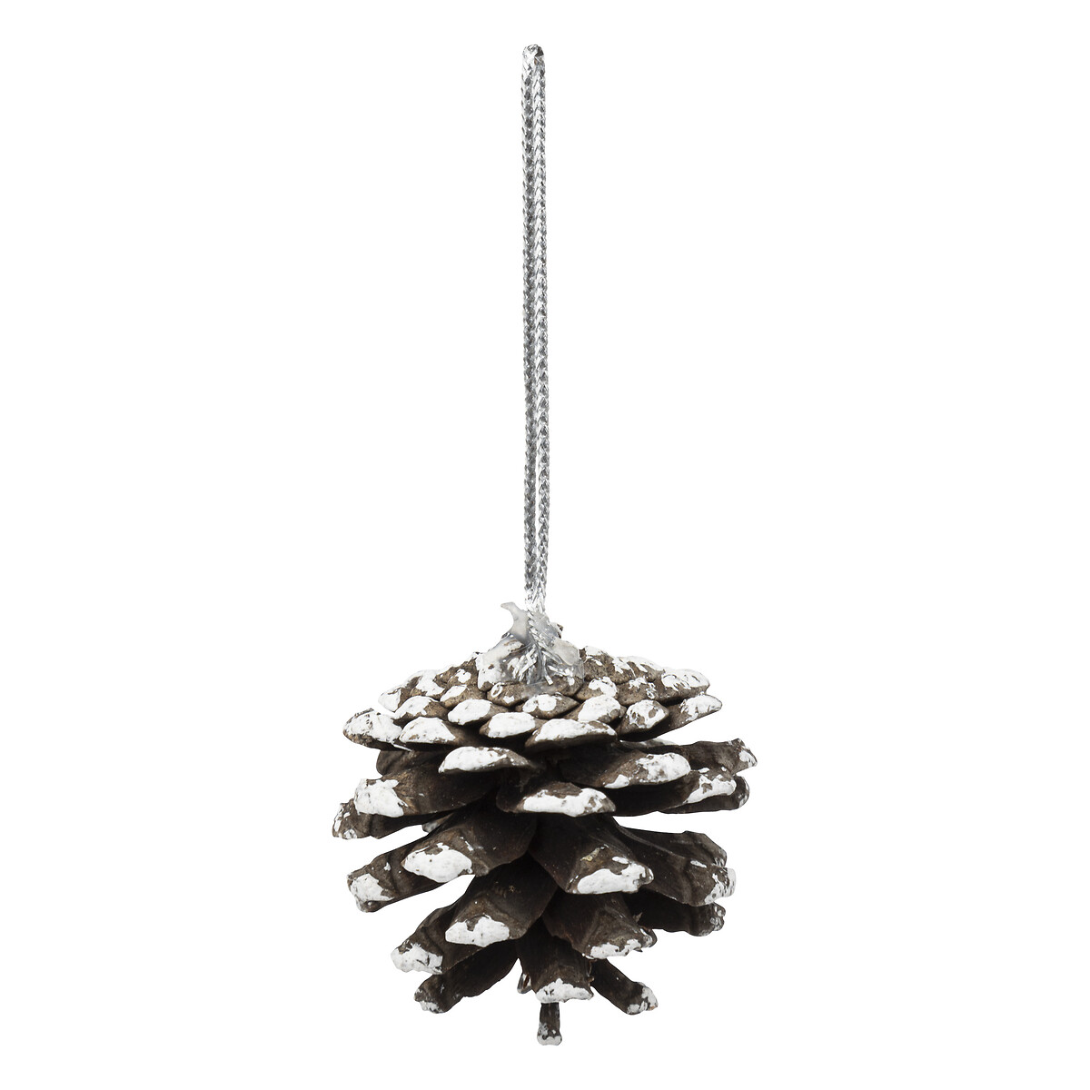 Conjunto de pinhas e bolas de neve