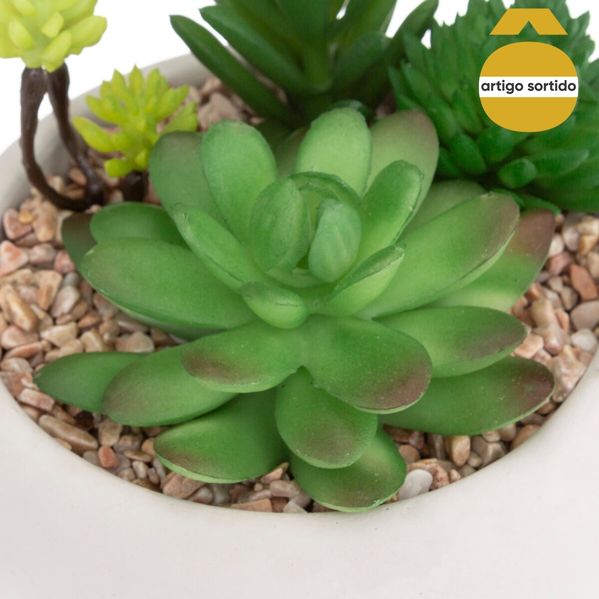 Vaso de cimento com planta 10cm