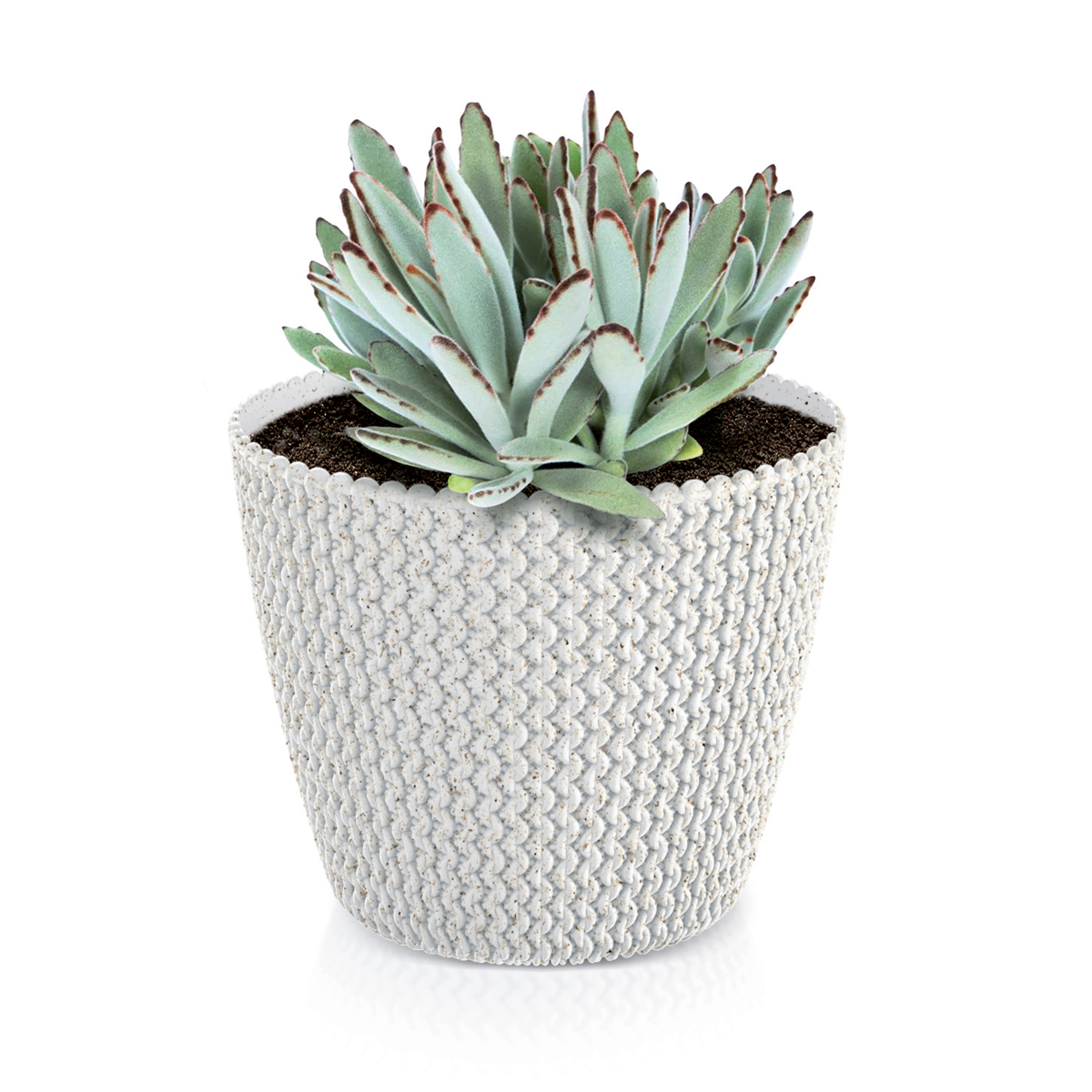 Vaso SPLOFY branco eco wood 19cm