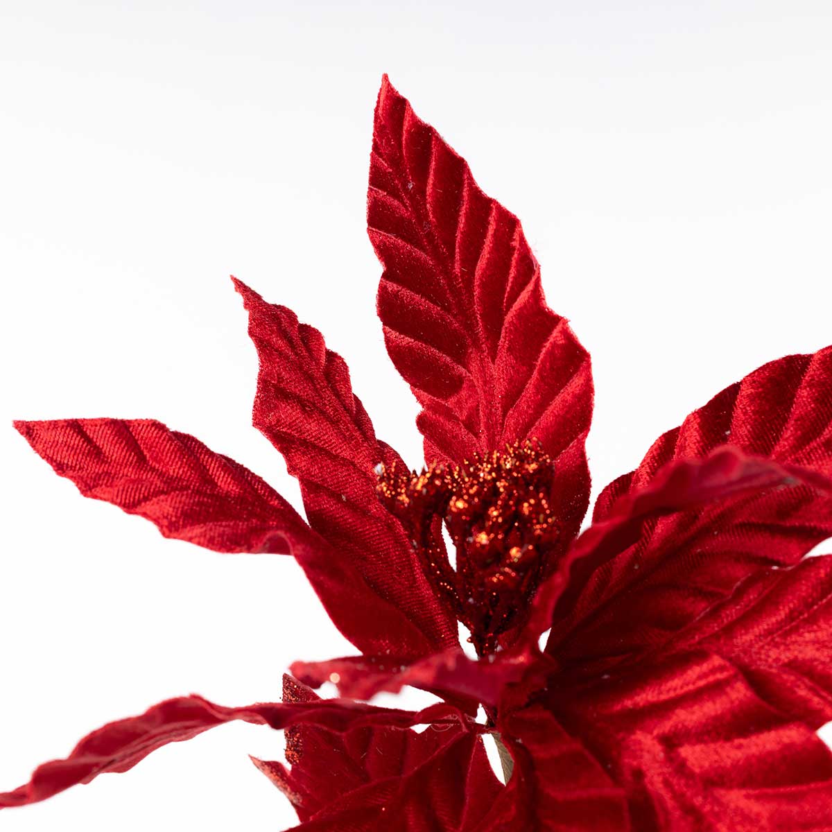 Poinsétia vermelha veludo 60cm