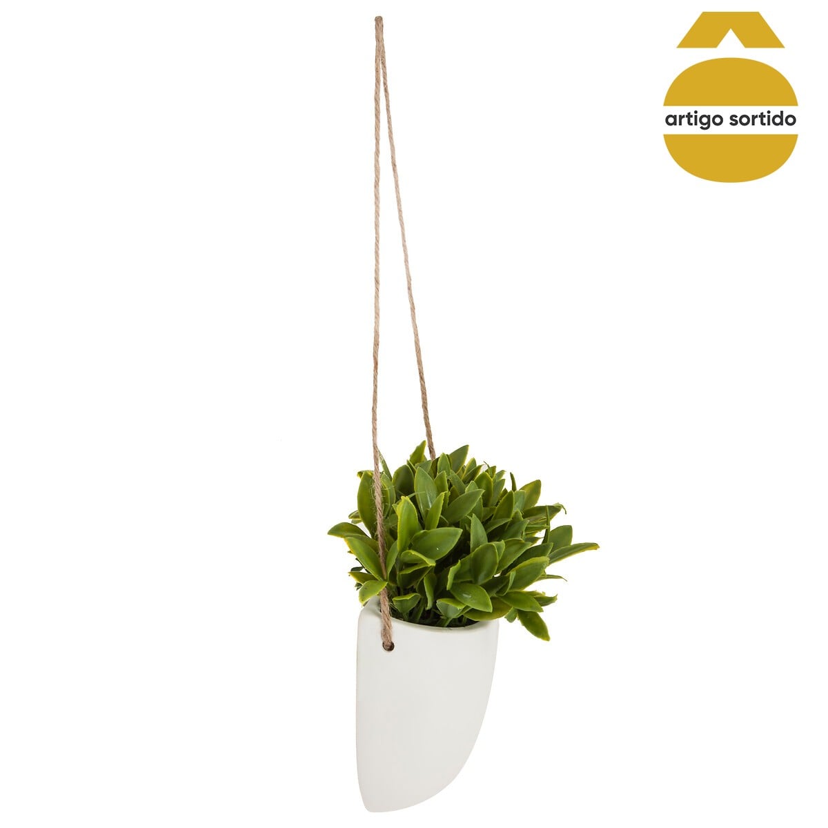Vaso de cer&acirc;mica suspenso com planta