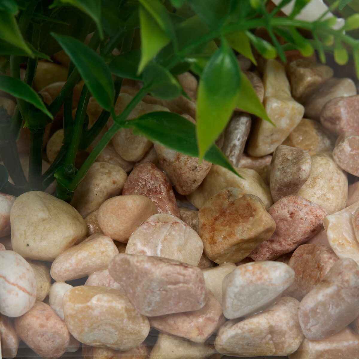 Terr&aacute;rio com plantas artificiais 23cm