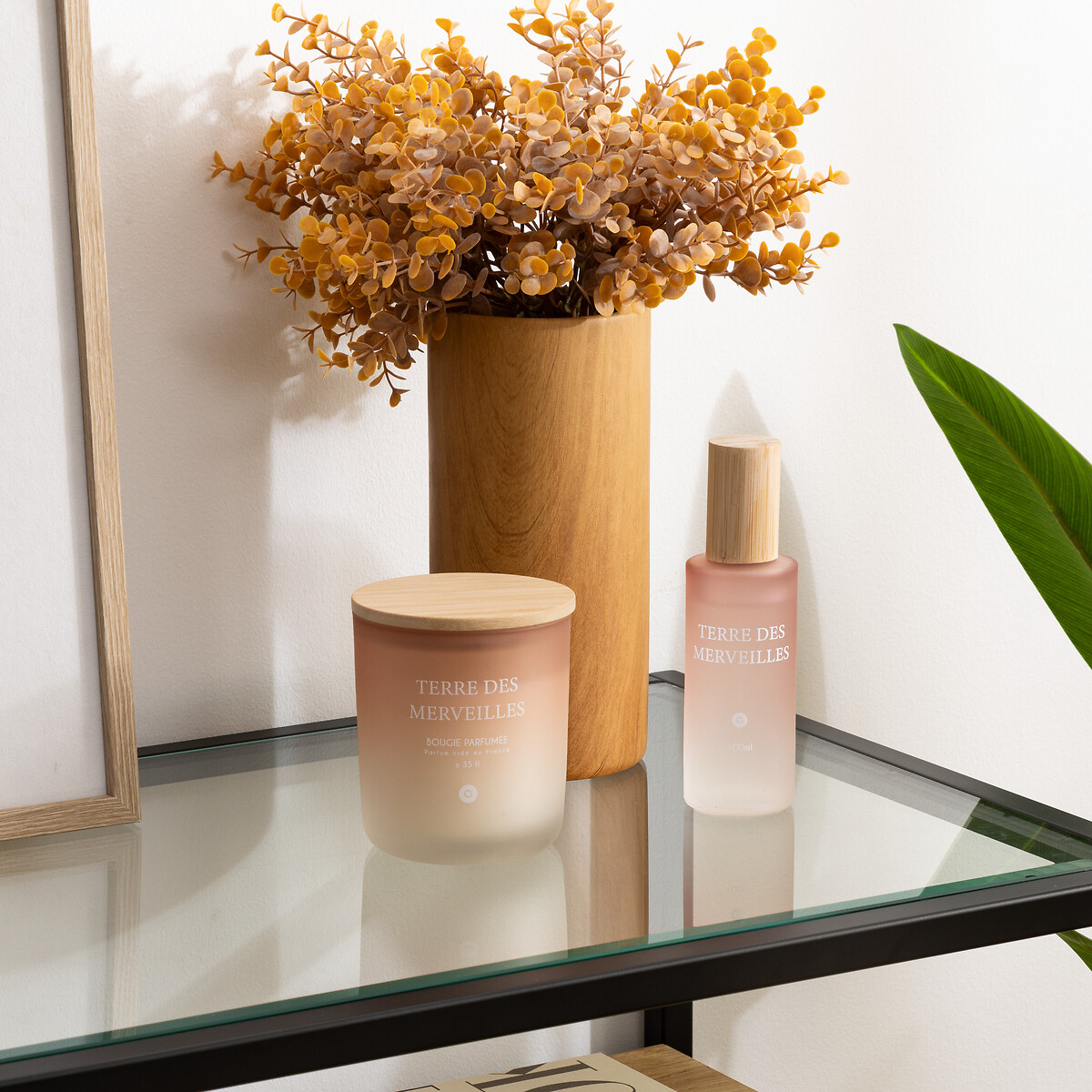 Ambientador spray terre des merveilles SANA100ml