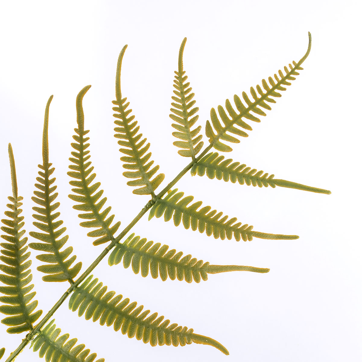 Haste de feto verde artificial 73cm