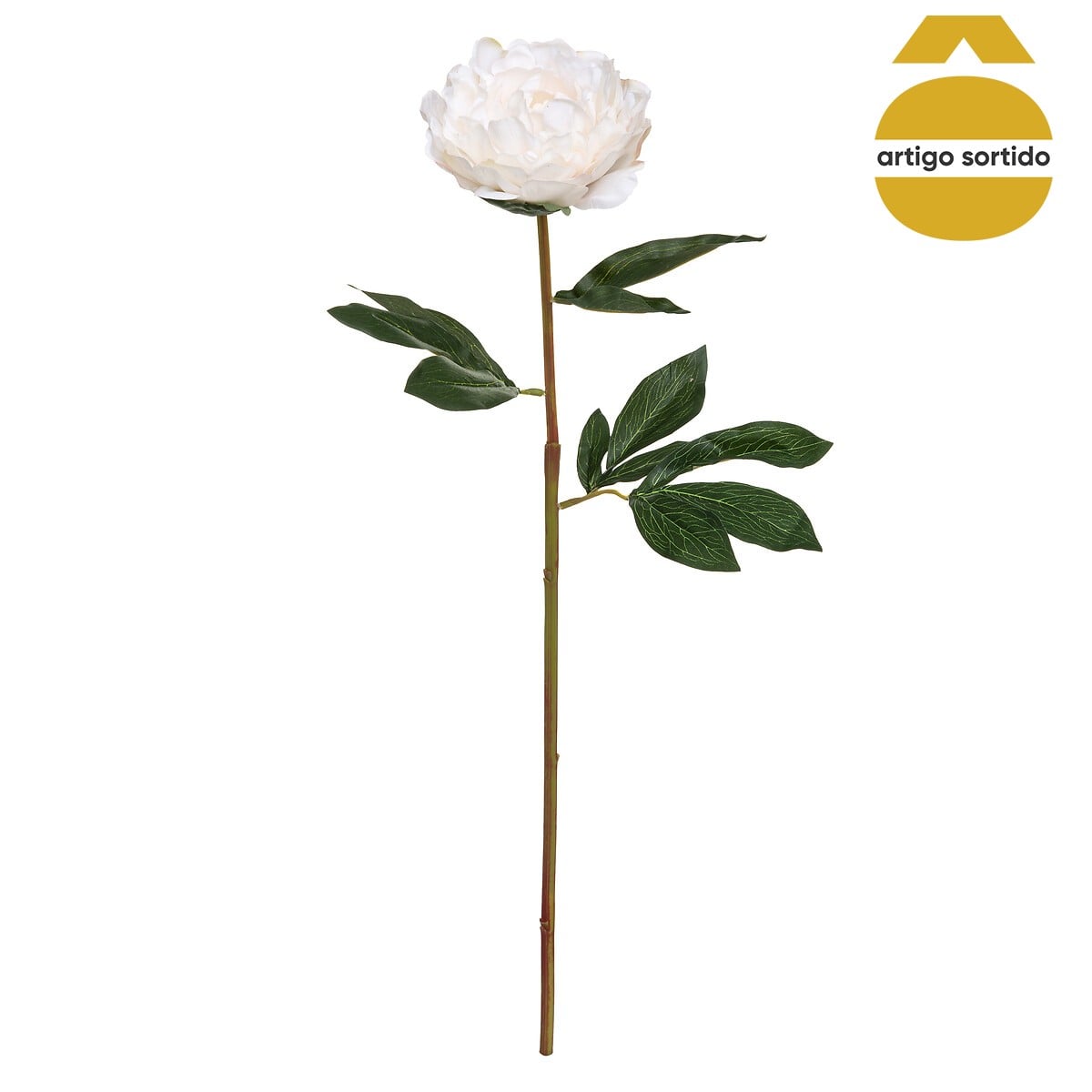 Haste pe&ocirc;nia real 68cm