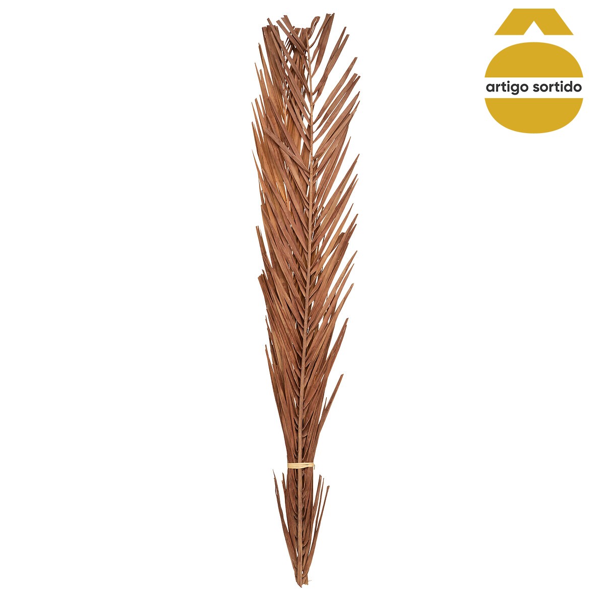 Ramo seco natural 100cm