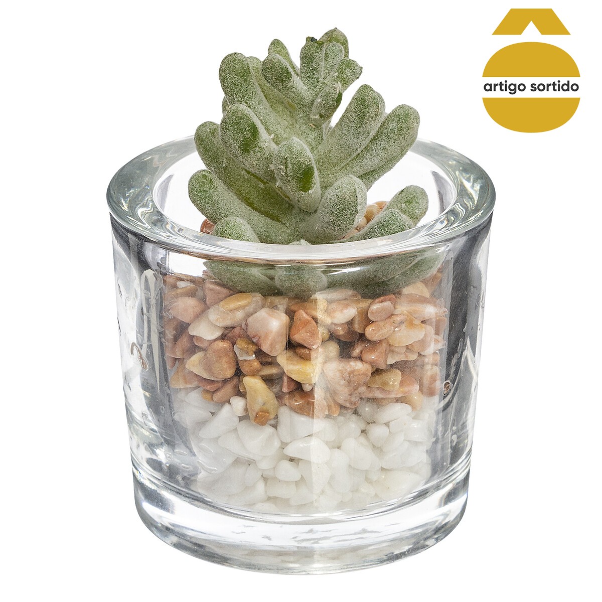 Vaso de vidro com planta 10cm,  Vaso de vidro com planta 10cm