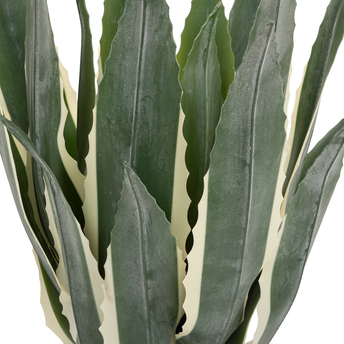 Planta agave verde 55cm