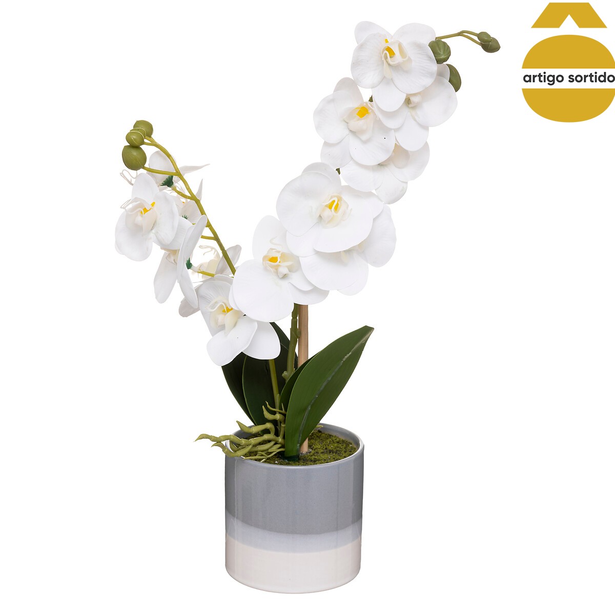 Planta orqu&iacute;dea com vaso cer&acirc;mico