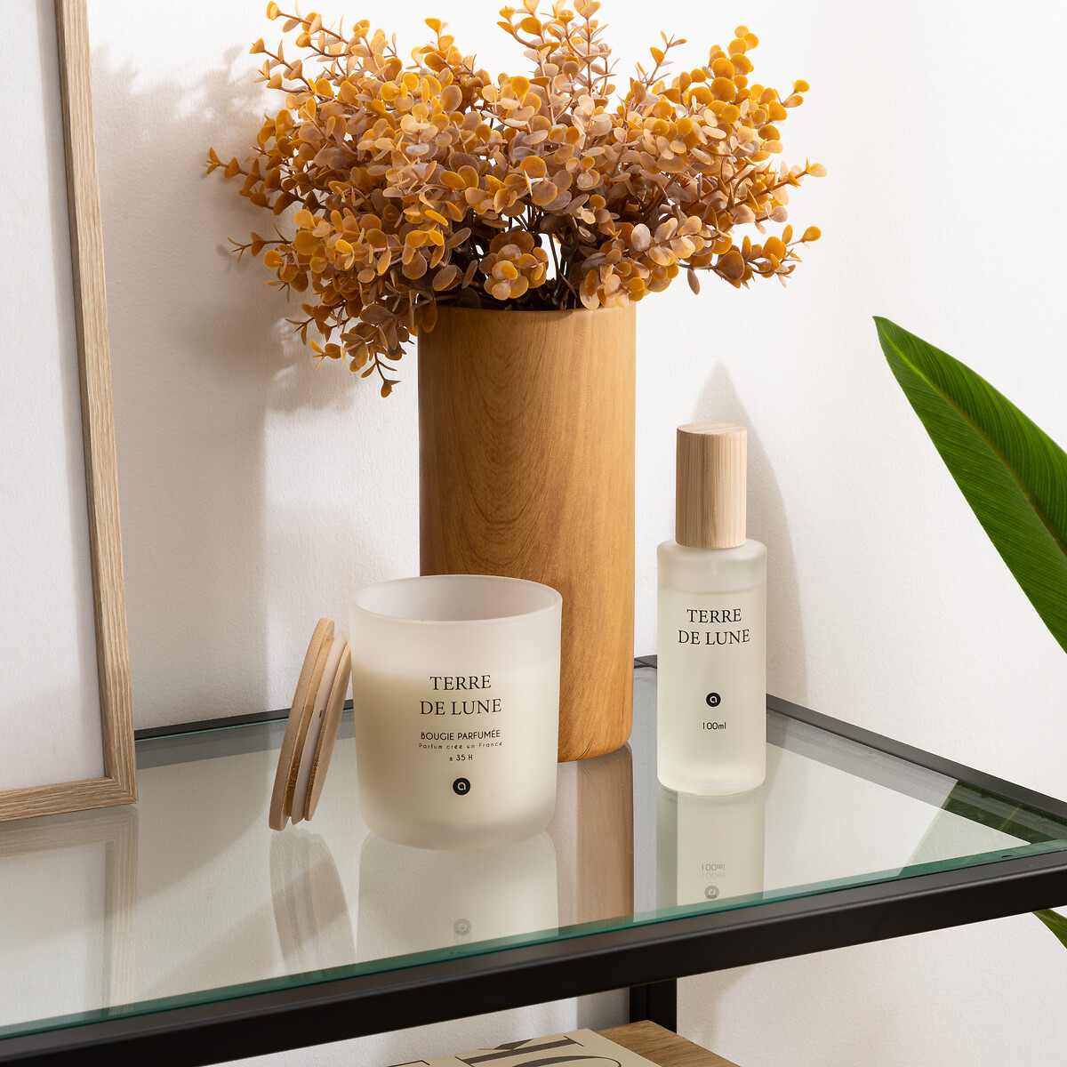 Vela perfumada terre de lune SANA 255g