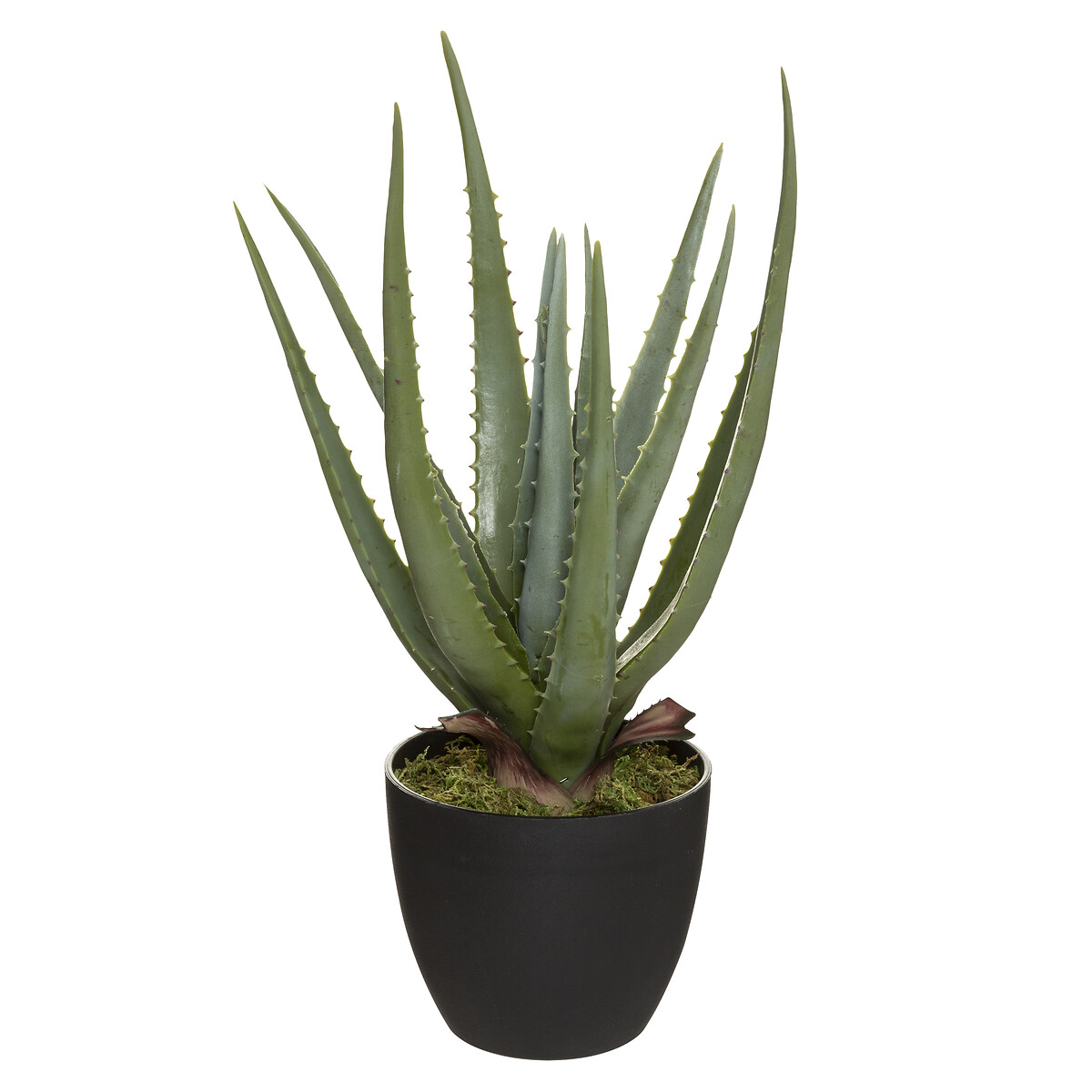 Planta cato aloe vera real TOUCH 44cm