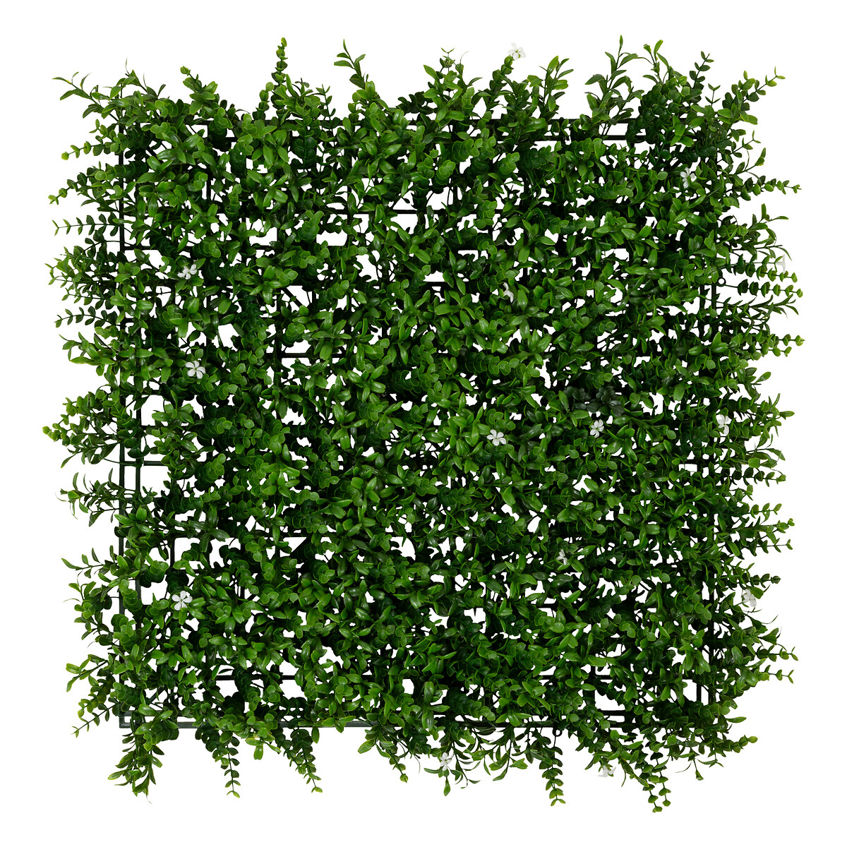Jardim vertical CLASSIQUE IZY 50x50cm
