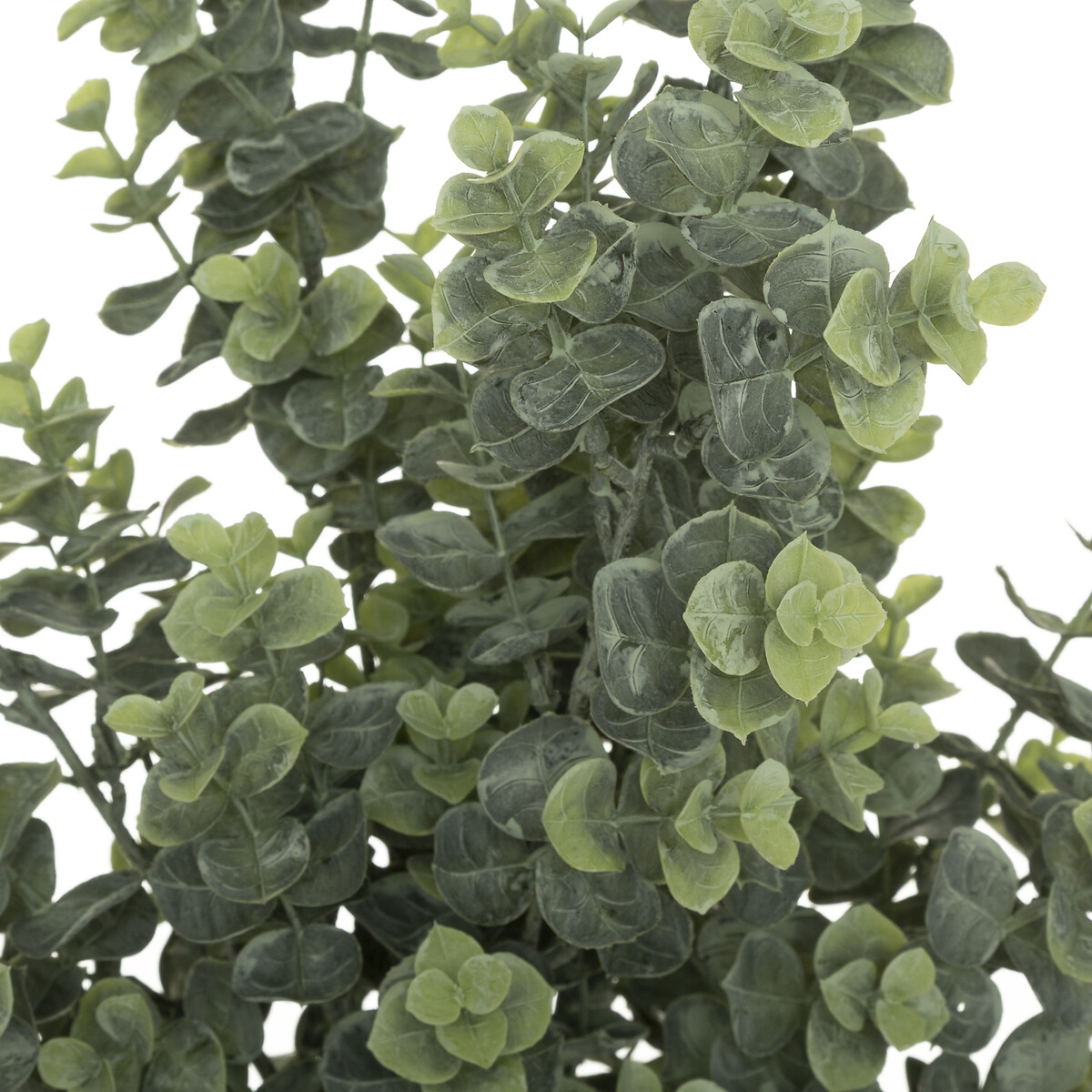 Ramo de eucalipto verde 64cm